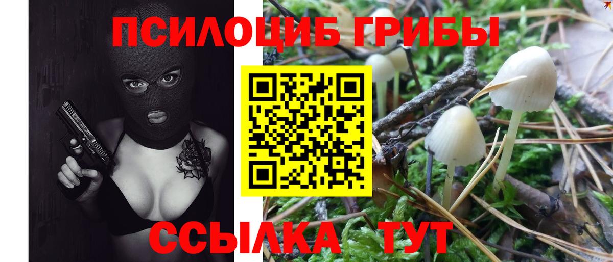 Тольятти  купить закладку  Вход с VPN  Псилоцибиновые грибы мухоморы 