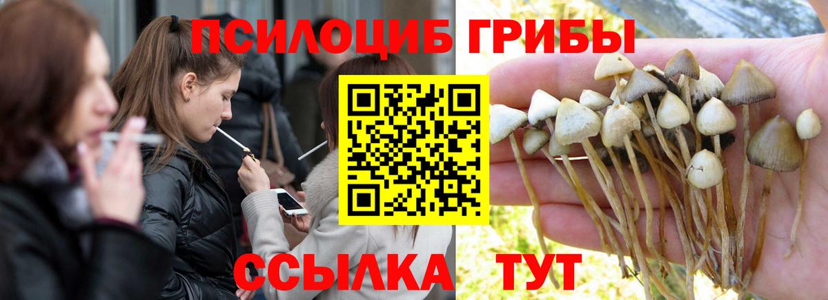 Галлюциногенные грибы мухоморы Тольятти